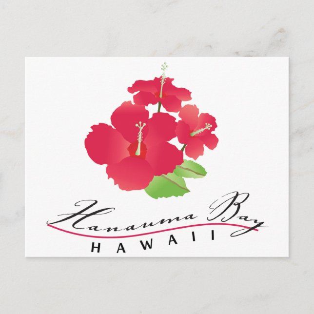 Hanauma Bay Hawaii - Röd Hibiskusblomma Vykort (Framsida)