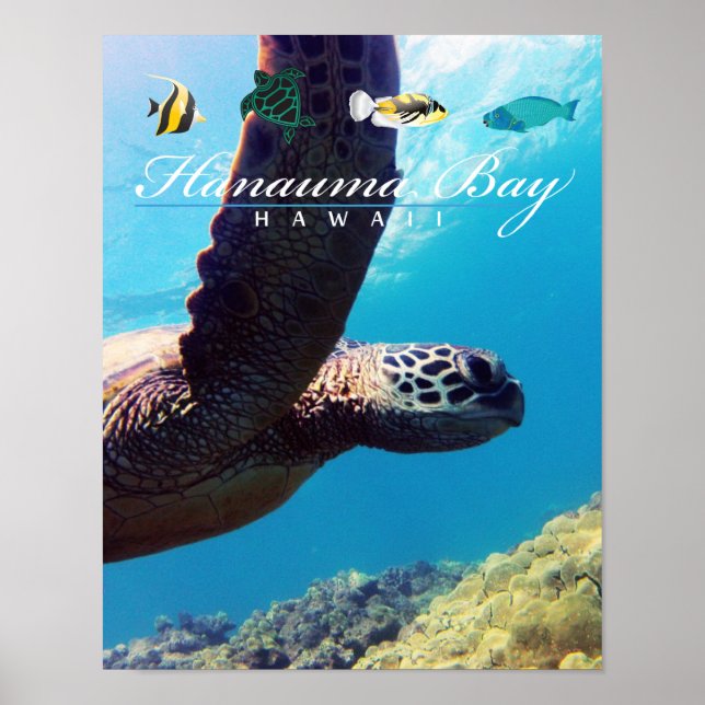 Hanauma Bay Hawaii Sea Turtle Poster (Framsidan)