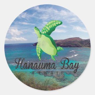 Hanauma Bay Hawaii Turtle Runt Klistermärke