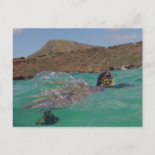 Hanauma Bay Hawaii Turtle Vykort