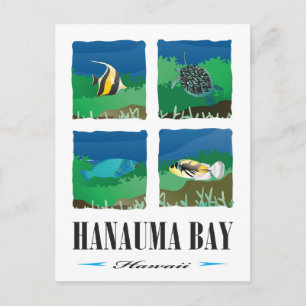 Hanauma Bay Hawaii - Vacation 2014 Vykort