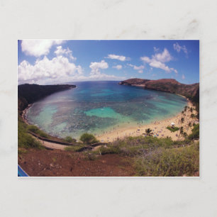 Hanauma Bay Hawaii Vykort