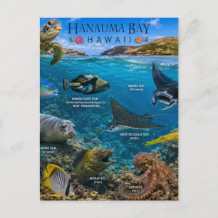 Hanauma Bay Hawaii Vykort