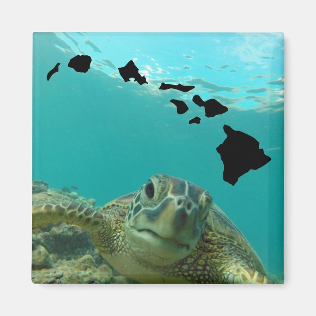 Hanauma Bay Oahu Hawaii Turtle Magnet (Framsidan)