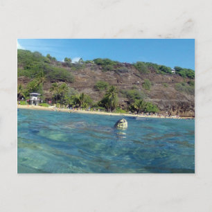 Hanauma Bay Turtle Vykort