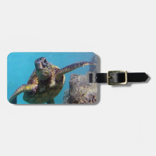 Hanauma fjärd - Hawaii gröna havssköldpaddor Bagagebricka