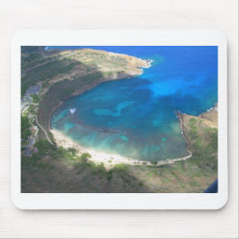 Hanauma fjärd Hawaii Musmatta