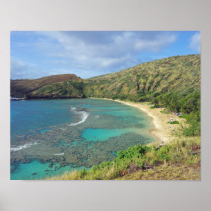 Hanauma fjärd Hawaii Poster