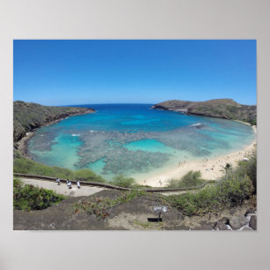 Hanauma fjärd Hawaii Poster