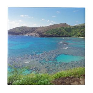 Hanauma fjärd Oahu Hawaii Kakelplatta