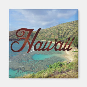 Hanauma fjärd Oahu Hawaii Magnet
