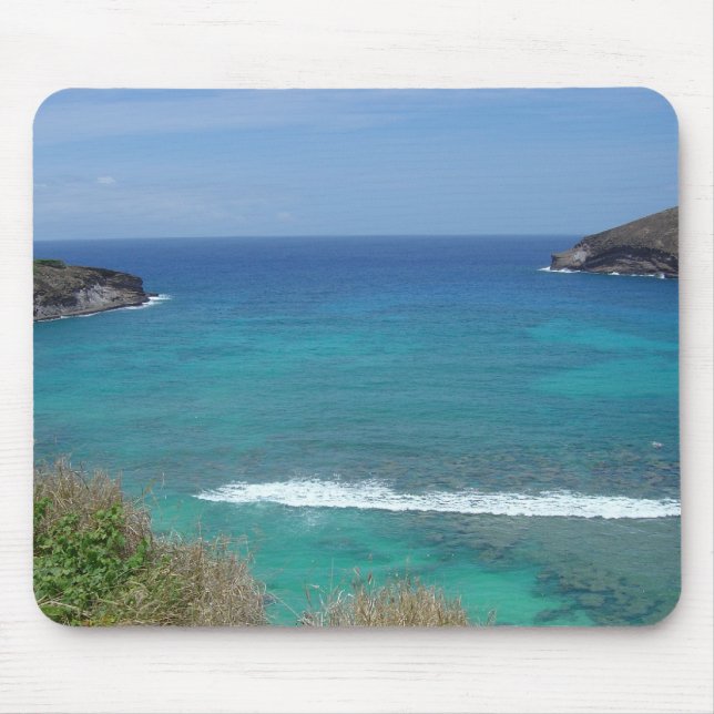 Hanauma fjärd, Oahu Musmatta (Framsidan)