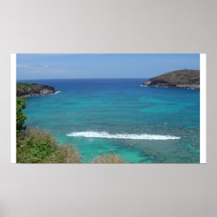 Hanauma fjärdaffisch poster