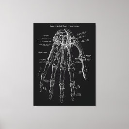 Hand Anatomy Large Canvas Wall Art 36x48"