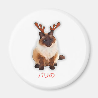 Hand Draw Funny Balinese Cat Japan Gift Pappa Mamm Magnet