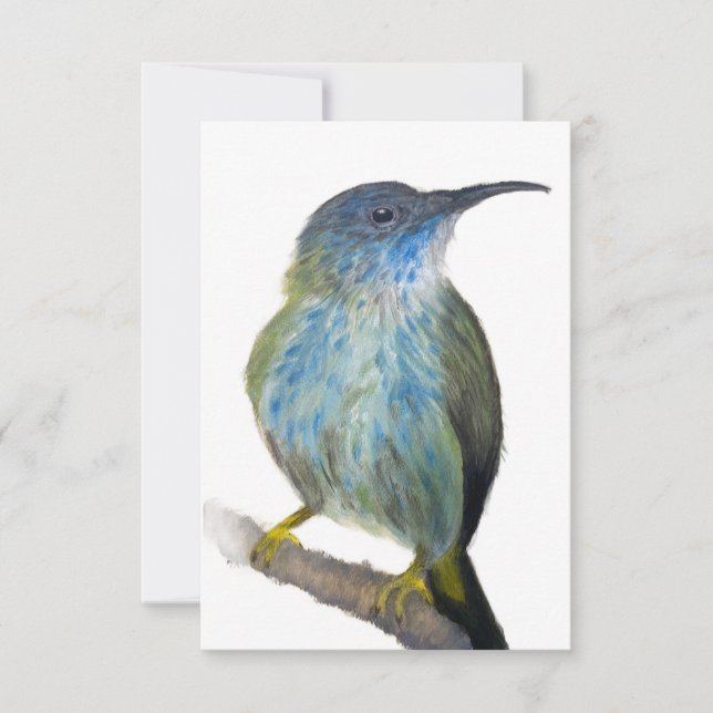 Hand-drawn blue tinted hummingbird notecard. tack kort (Framsida)
