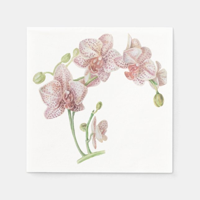 Hand Illustrated Orchid Pappersservett (Framsidan)