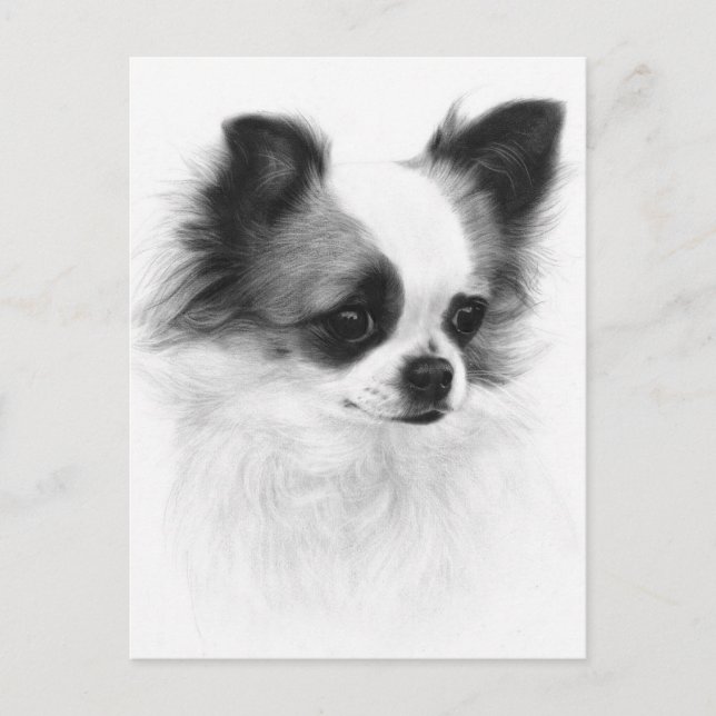 Hand Pasent Chihuahua Artwork Vykort (Framsida)