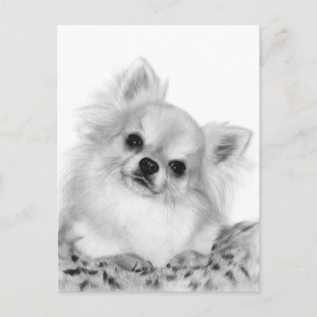 Hand Pasent Chihuahua Artwork Vykort (Framsida)