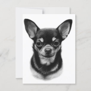 Hand Pasent Chihuahua Pet Porträtt Vykort