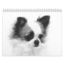 Hand Pasent Chihuahua Porträtt