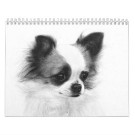 Hand Pasent Chihuahua Porträtt Kalender