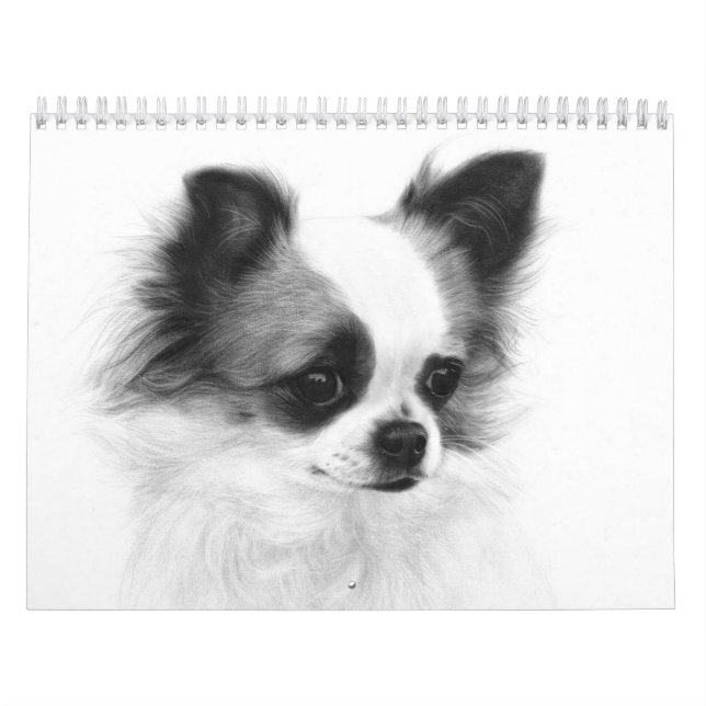 Hand Pasent Chihuahua Porträtt Kalender (Omslag)