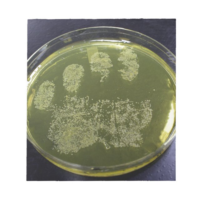 Hand Petri Dish Bacteria Anteckningsblock (Framsida)