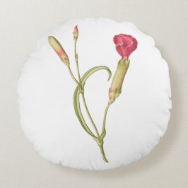 Hand plockade Blooming rosa dianthus blomma Rund Kudde