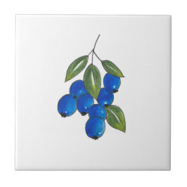 Hand plockade Bluebär Kakelplatta