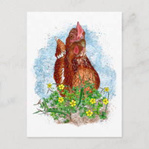 Hand plockade Chicken Art Vykort