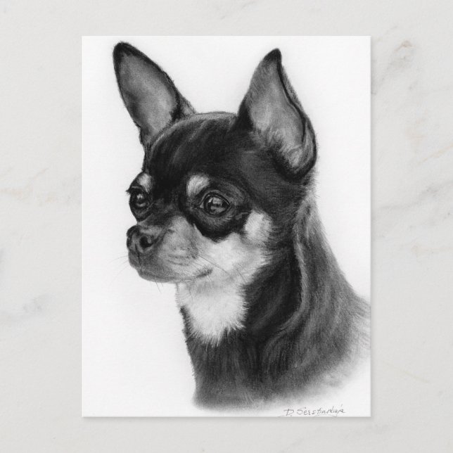 Hand plockade Chihuahua Head Study Vykort (Framsida)