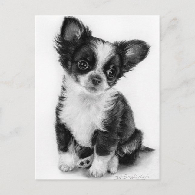 Hand plockade Chihuahua Puppy Artwork Vykort (Framsida)