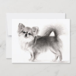 Hand plockade Chihuahua Vykort