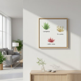 Hand plockade Cladophora, Ectocarpus Sjögräs Canvastryck