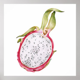 Hand plockade drakonfruktillustration poster