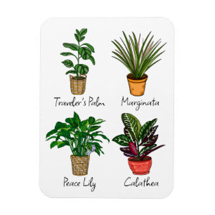 Hand plockade House Plants Art Magnet