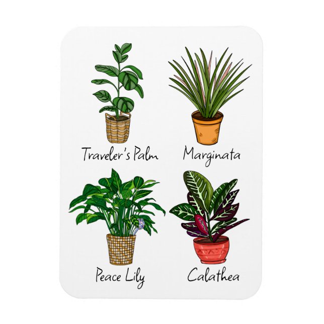 Hand plockade House Plants Art Magnet (Vertikal)