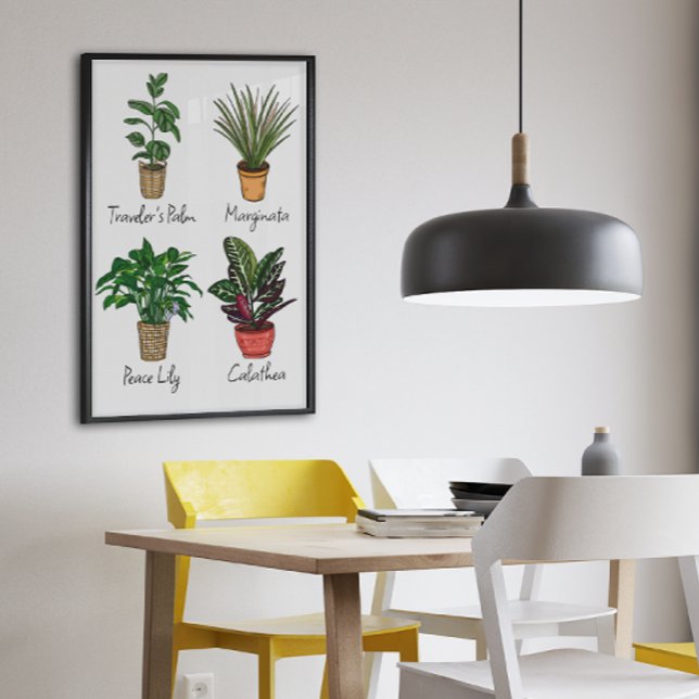 Hand plockade House Plants Wall Art Canvastryck (Skapare uppladdad)