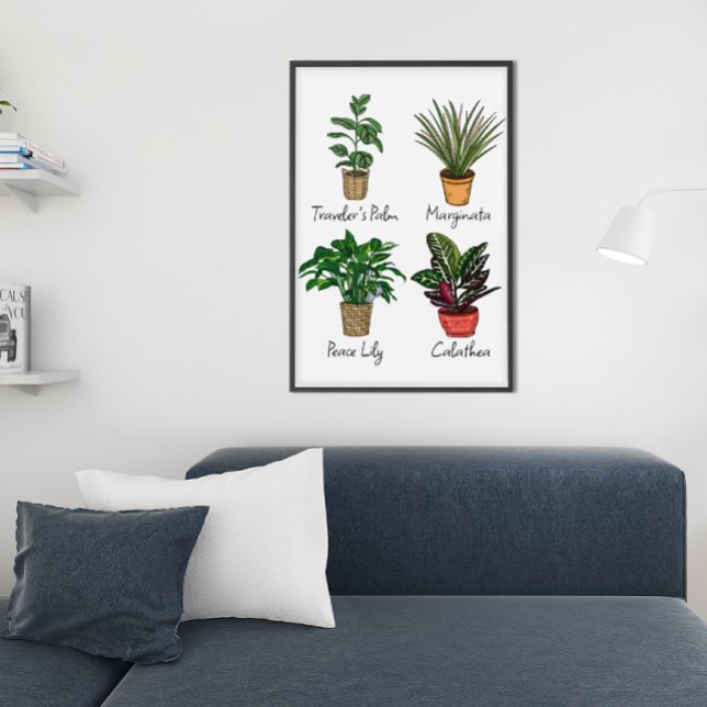 Hand plockade House Plants Wall Art Poster (Skapare uppladdad)