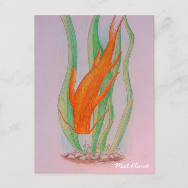 hand plockade Koi Carp Vykort (Framsida)