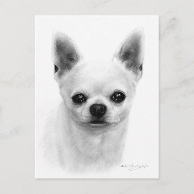 Hand plockade Kort med nedsatt Chihuahua - Realist (Framsida)