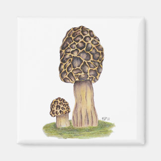 Hand plockade Morel Mushroom Magnet
