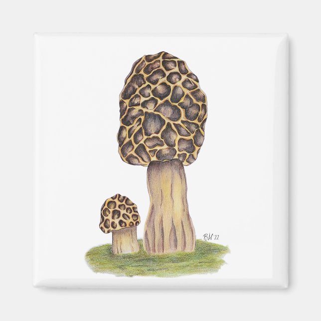 Hand plockade Morel Mushroom Magnet (Framsidan)