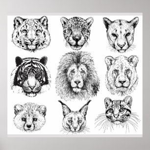 Hand plockade Sketch Animal Porträtt Poster