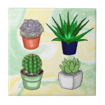 Hand plockade Succulents