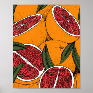 Hand plockade-utskrift med grapefrukter poster