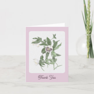 Hand plockade White och Lila Hellebore Tack Kort