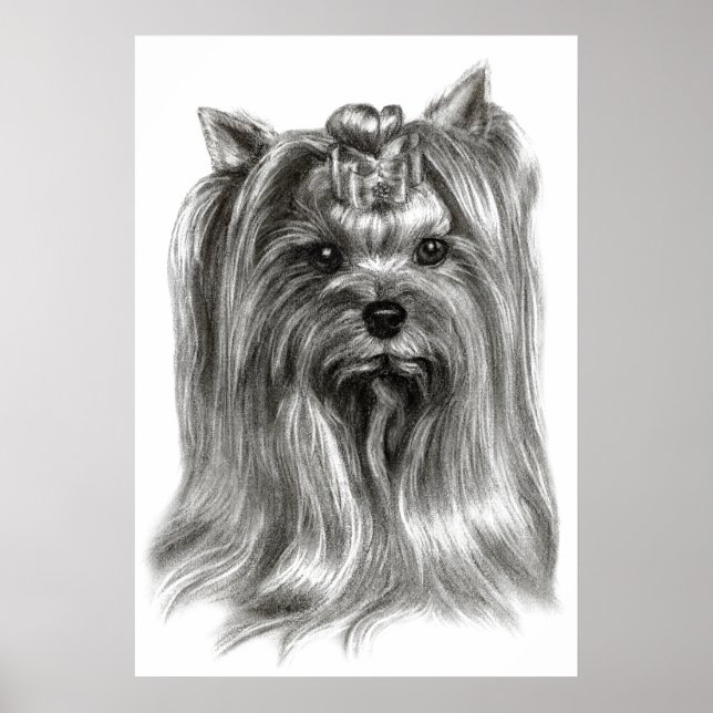 Hand plockade Yorkshire Terrier Poster (Framsidan)