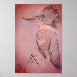 Hand Sketched Belted Kingfisher Poster